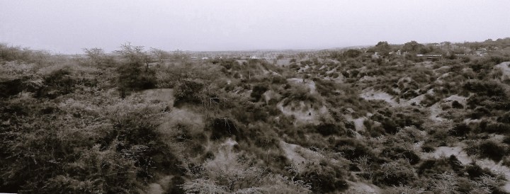 Kalpi